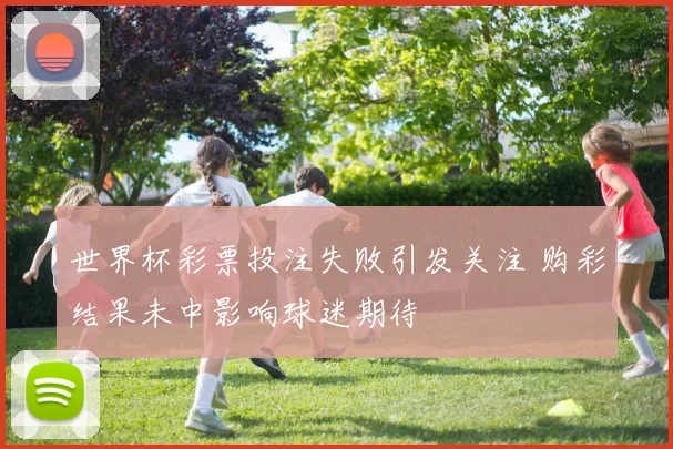 世界杯彩票投注失败引发关注 购彩结果未中影响球迷期待
