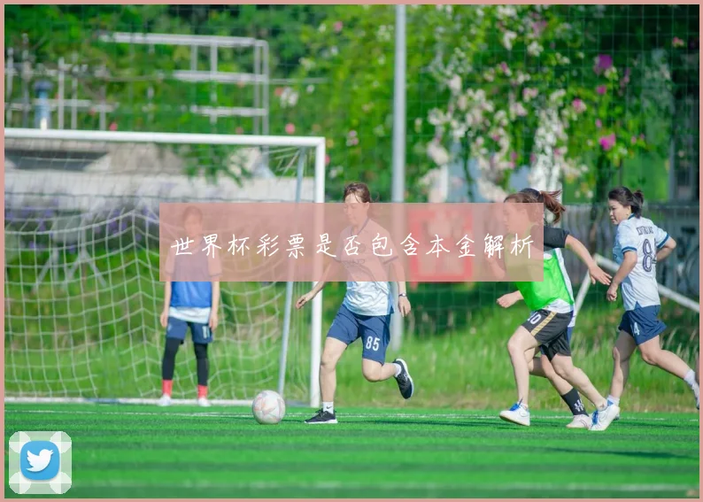 世界杯彩票是否包含本金解析